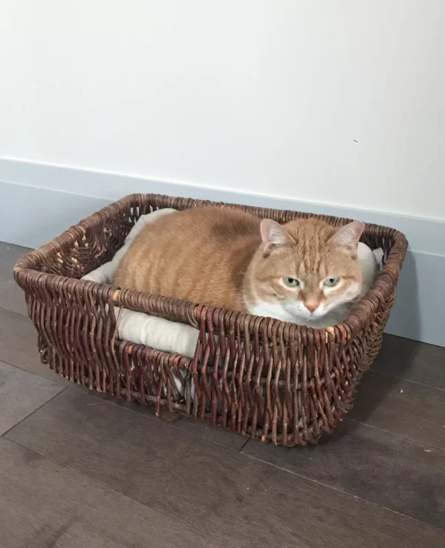 DIY Wicker Basket Bed 