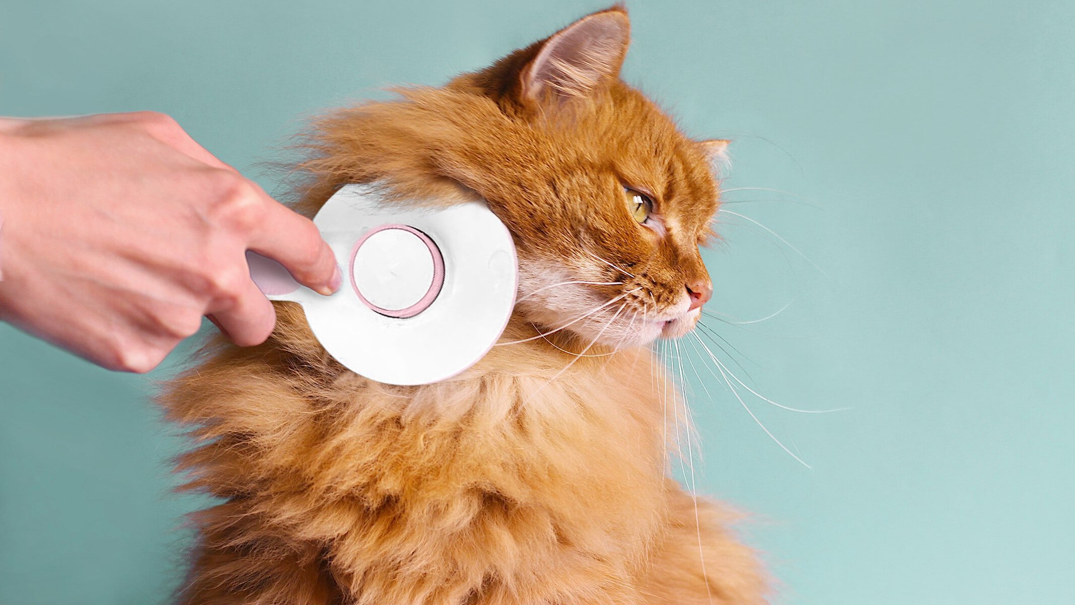 Hepper Brush - Long Hair Cat Orange