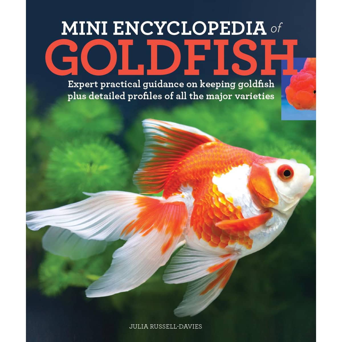 Mini Encyclopedia of Goldfish New