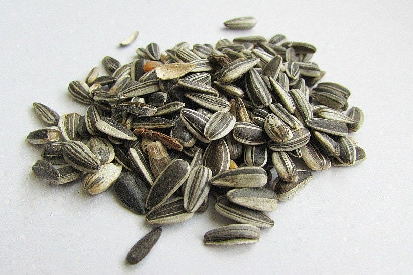Striped sunflower seeds_Csaba Nagy, Pixabay