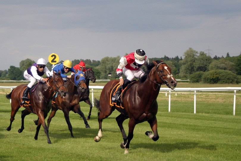 allowance horse race