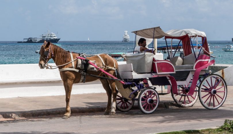 horse and a carriage_Pixabay 