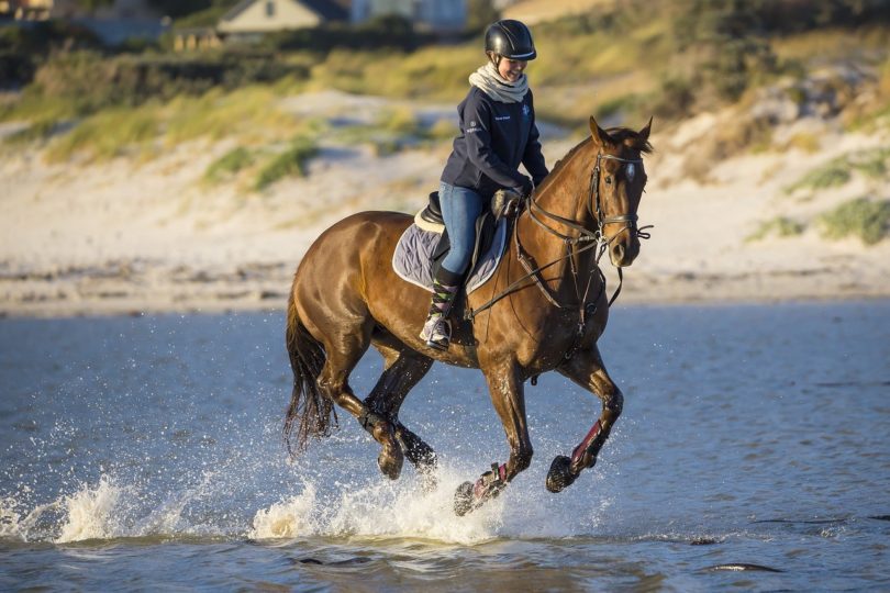 horse riding_Pixabay
