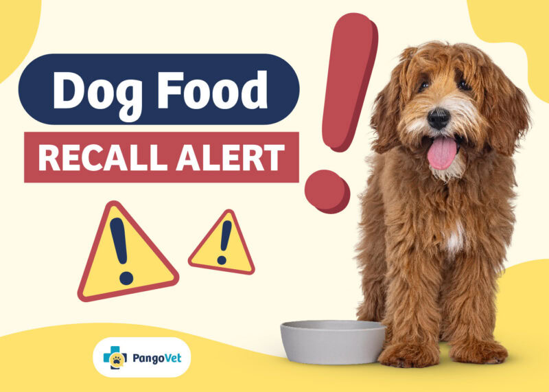 Dog food recall alert